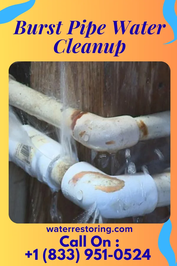 Burst Pipe Water Cleanup in Scotia, NY