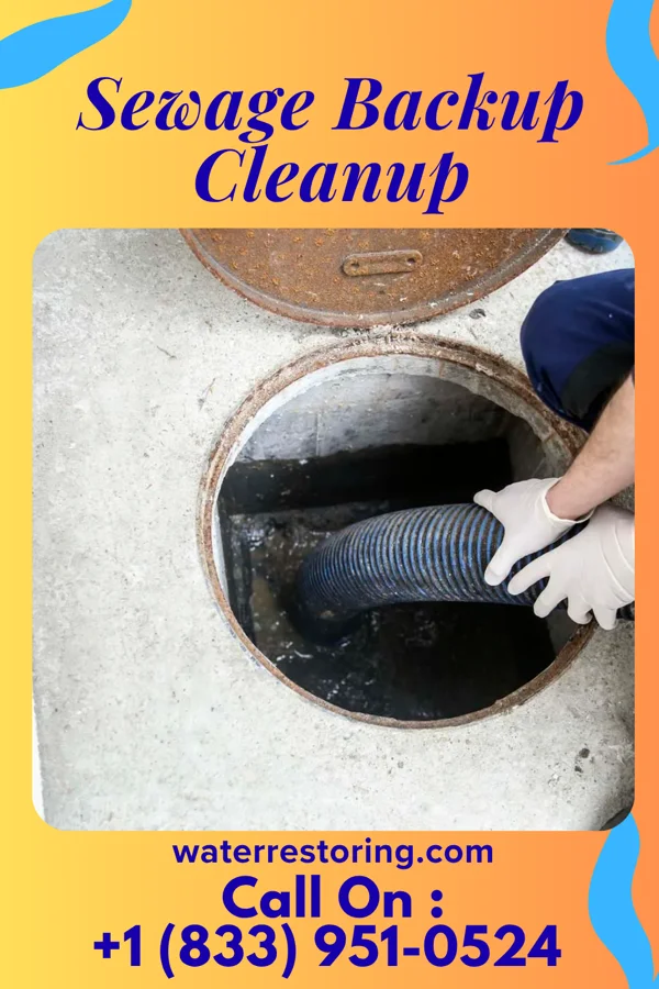 Sewage Backup Cleanup in Scotia, NY