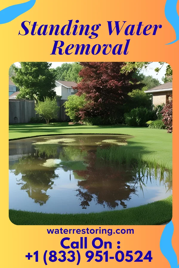 Standing Water Removal in Scotia, NY